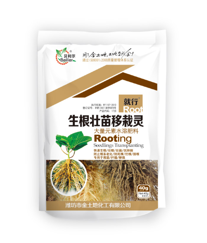 生根壮苗移栽灵